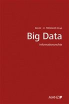 Susanne Kalss, Ulrich Torggler - Big Data - Informationsrecht 5. Wiener Unternehmensrechtstag
