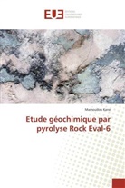 Mamoudou Kane - Etude géochimique par pyrolyse Rock Eval-6