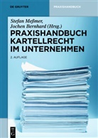 BERNHARD, Bernhard, Jochen Bernhard, Stefa Messmer, Stefan Meßmer - Praxishandbuch Kartellrecht im Unternehmen