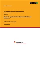 Benedikt Hofmann - Medien in Spanien im Kreuzfeuer von Politik und Wirtschaft