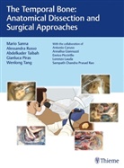 Gianluca Piras, Alessandr Russo, Alessandra Russo, Mari Sanna, Mario Sanna, Abdelkader Taibah... - The Temporal Bone