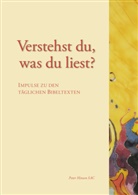 Peter Hinsen - Verstehst du, was du liest?