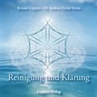 Renate Lippert, Renate Lippert Dr. Joshua David Stone - Reinigung und Klärung CD (Audiolibro)