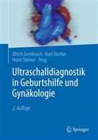 Ulrich Gembruch, Kur Hecher, Kurt Hecher, Horst Steiner - Ultraschalldiagnostik in Geburtshilfe und Gynäkologie