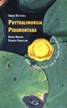 Bruno Gallino, Oreste Mattirolo, Giorgio Pallavicini - Phytoalimurgia pedemontana. Come alimentarsi con le piante selvatiche
