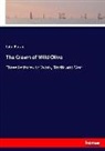 John Ruskin - The Crown of Wild Olive