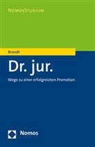 Edmund Brandt - Dr. jur. - Wege zu einer erfolgreichen Promotion