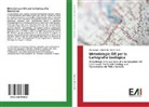 Paolo Conti, Eli Pasqua, Elia Pasqua, Altai Pirro, Altair Pirro - Metodologie GIS per la Cartografia Geologica
