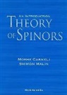 Moshe Carmeli, Moshe (Ben-gurion Univ Of The Negev Carmeli, Carmeli Moshe, Shimon Malin, Shimon (Colgate Univ Malin, Malin Shimon... - Theory Of Spinors: An Introduction