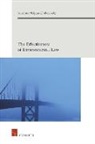 Sandrine Maljean-Dubois - The Effectiveness of Environmental Law