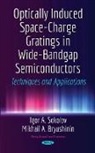 Mikhail A Bryushinin, Mikhail A. Bryushinin, Igor A Sokolov, Igor A Sokolov, Igor A. Sokolov - Optically Induced Space-Charge Gratings in Wide-Bandgap Semiconductors