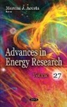 Morena J Acosta - Advances in Energy Research