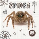 Holly Duhig, Danielle Webster-Jones - SPIDER