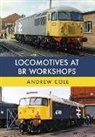 Andrew Cole - Locomotives at BR Workshops