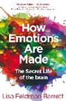 Lisa Feldman Barrett, Barrett Lisa Feldman - How Emotions are Made