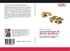 Octavio Hinojosa Carrasco - Concentración de Menas Auríferas