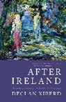 Declan Kiberd, Kiberd Declan - After Ireland