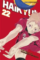 Haruichi Furudate, Haruichi Furudate, Venio Tachibana, Kaoru Tada - Haikyu!!, Vol. 22