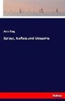 John King - Sprays, leaflets and blossoms