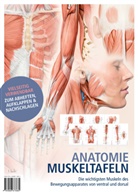 KVM - Der Medizinverlag - Anatomie-Muskeltafeln
