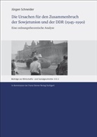 Jürgen Schneider - Die Ursachen für den Zusammenbruch der Sowjetunion und der DDR (1945-1990)