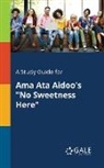 Cengage Learning Gale - A Study Guide for Ama Ata Aidoo's "No Sweetness Here"