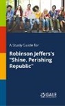Cengage Learning Gale - A Study Guide for Robinson Jeffers's "Shine, Perishing Republic"
