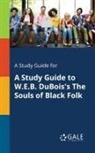 Cengage Learning Gale - A Study Guide for A Study Guide to W.E.B. DuBois's The Souls of Black Folk