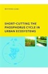Bekithemba Gumbo, Bekithemba (Unesco-Ihe Institute for Water Gumbo, Gumbo Bekithemba - Short-Cutting the Phosphorus Cycle in Urban Ecosystems