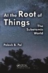 Palash Baran Pal, Pal Palash Baran - At the Root of Things