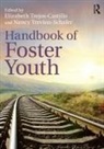 Elizabeth (Texas Tech University Trejos-Castillo, Elizabeth Trevino-Schafer Trejos-Castillo, Elizabeth Trejos-Castillo, Elizabeth (Texas Tech University Trejos-Castillo, Trejos-Castillo Elizabeth, Nancy Trevino-Schafer... - Handbook of Foster Youth