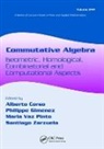 Alberto Corso, Alberto (University of Kentucky Corso, Alberto Gimenez Corso, Alberto Corso, Corso Alberto, Philippe Gimenez... - Commutative Algebra