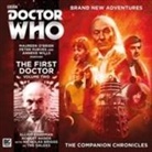 Guy Adams, David Bartlett, Una McCormack, John Pritchard - The Companion Chronicles (Audio book)