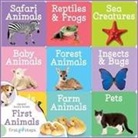 First Steps Chunky Board Books: Animals