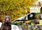 Ingrid Flick, Georg Rothmann, Georg Rothmann - Wir besuchen unseren Wald