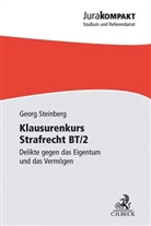 Georg Steinberg, Georg (Dr.) Steinberg - Klausurenkurs Strafrecht BT/2