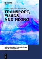 Gianluc Crippa, Gianluca Crippa, Anna Mazzucato - Transport, Fluids, and Mixing