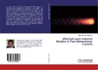 Hamed Koochaki Kelardeh - Ultrafast Laser-induced Kinetics in Two-dimensional Crystals
