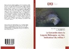 Guy-Serge Bignoumba, Lu Keith Diagne, Lucy Keith Diagne, Christy Achton Kema Kema Nkollo, Christy Achtone Kema Kema Nkollo - Le lamantin dans la Lagune Ndougou, un bio-indicateur du milieu ?