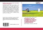Natalia Afanasjeva, Andre González Córdoba, Andrea González Córdoba - Pirólisis de los asfaltenos de los crudos pesados colombianos