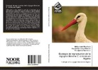 Mohamme Bouriach, Mohammed Bouriach, Samrao, Boudjemaa Samraoui, Farra Samraoui Chenafi, Farrah Samraoui Chenafi - Ecologie de reproduction de la cigogne blanche C. ciconia en Algérie
