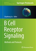 Chaohon Liu, Chaohong Liu - B Cell Receptor Signaling