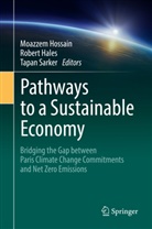 Rober Hales, Robert Hales, Moazzem Hossain, Tapan Sarker - Pathways to a Sustainable Economy