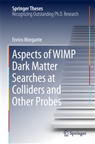 Enrico Morgante - Aspects of WIMP Dark Matter Searches at Colliders and Other Probes