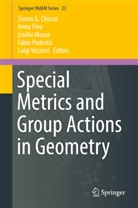 Simon G. Chiossi, Ann Fino, Anna Fino, Emilio Musso, Emilio Musso et al, Fabio Podestà... - Special Metrics and Group Actions in Geometry