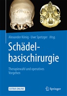 Alexander König, Alexande König (Dr. med.), Alexander König (Dr. med.), Uwe Spetzger, Spetzger (Prof. Dr. me - Schädelbasischirurgie
