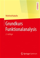 Winfried Kaballo - Grundkurs Funktionalanalysis