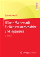 Günter Bärwolff, Gottfried Seifert - Höhere Mathematik für Naturwissenschaftler und Ingenieure