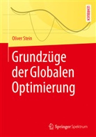 Oliver Stein - Grundzüge der Globalen Optimierung