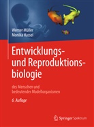Monika Hassel, Werner Müller, Werner A Müller, Werner A. Müller - Entwicklungsbiologie und Reproduktionsbiologie des Menschen und bedeutender Modellorganismen